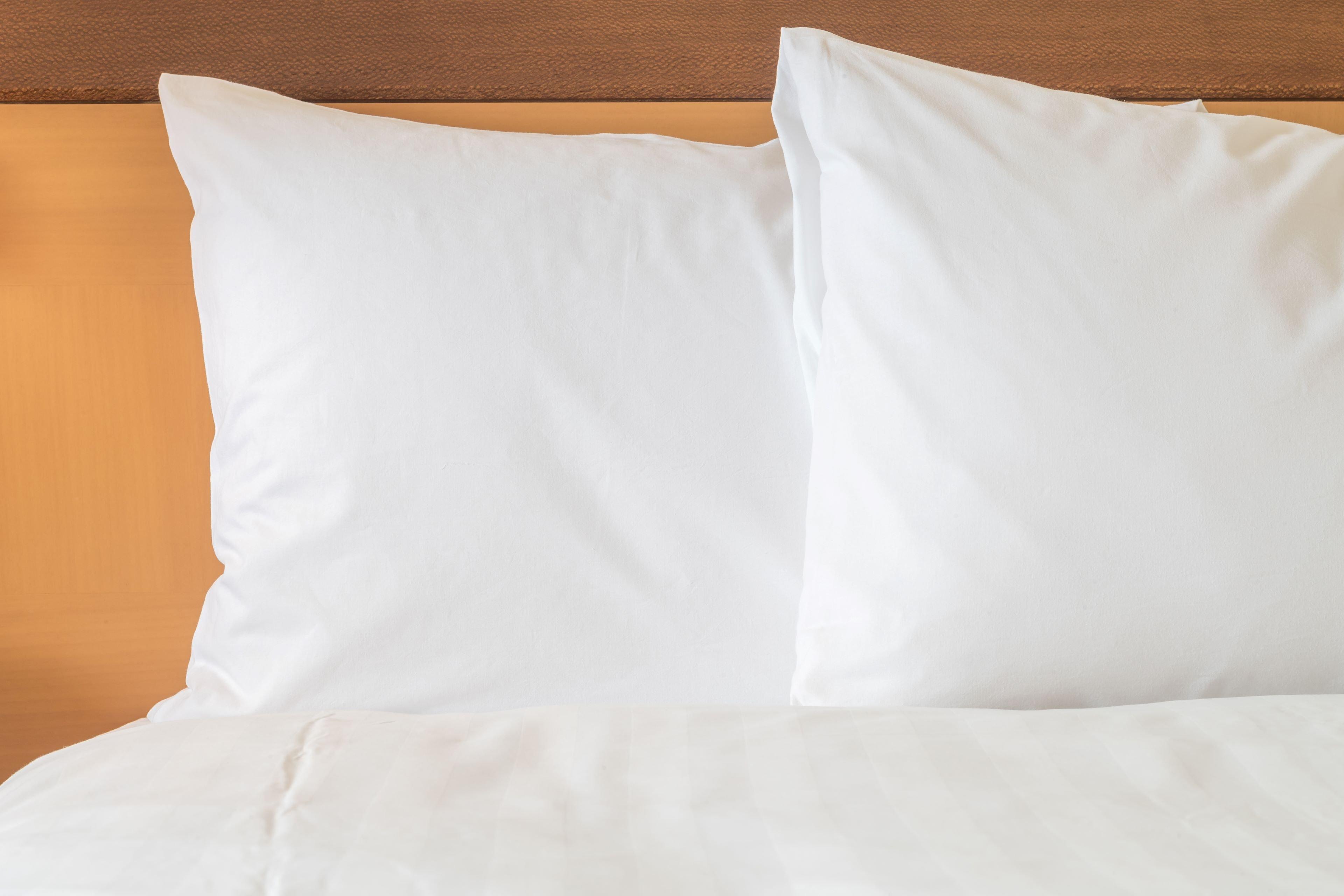 Holiday Inn Express Camden Hotel By Ihg Esterno foto